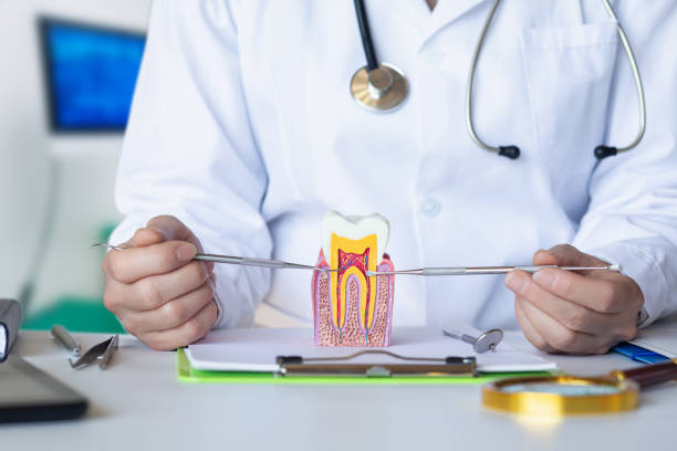 Best Holiday Emergency Dentist in Jackson, AL